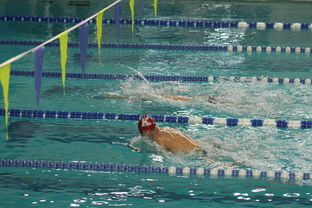 ac米兰官网-全国青少年游泳锦标赛涌现多位新星，2021年青少年游泳锦标赛