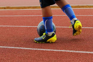 ac米兰体育官网-足球产业链：从青训到转播的全产业生态，足球产业主要经营内容